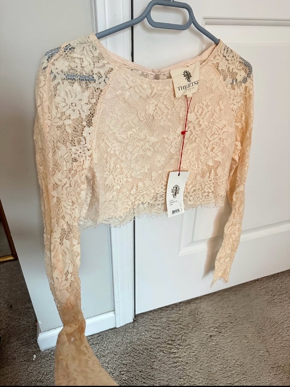 The Jetset Diaries Piazza Long-Sleeve Lace Crop Top in Blush Pink